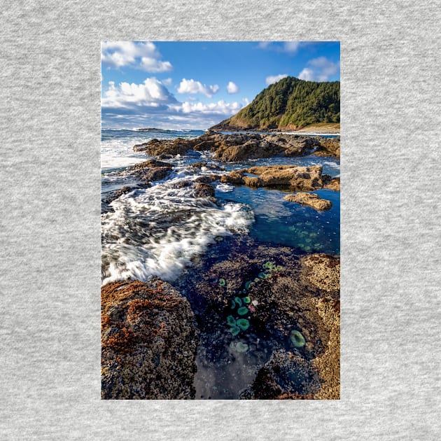 Happy Tide Pools by JeffreySchwartz